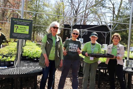 Our native garden guides are experts on the Nursery Marketplace, assisting visitors with their plant purchases and giving advice.