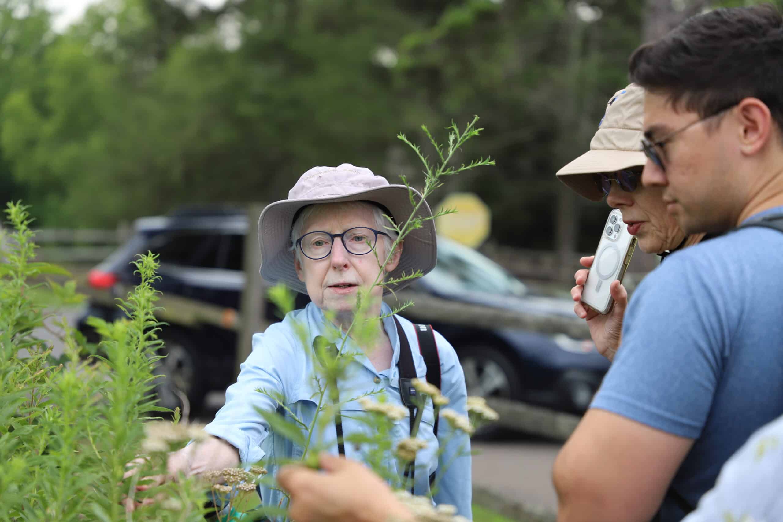 Preserve Naturalist Mary Anne Borge led the 2024 NABA Butterfly Count.
