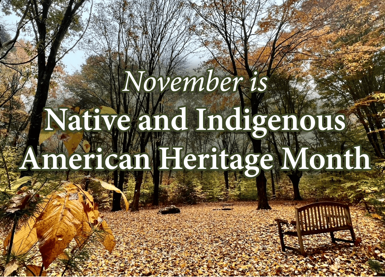 November is Native and Indigenous American History Month