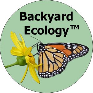 Backyard Ecology 2