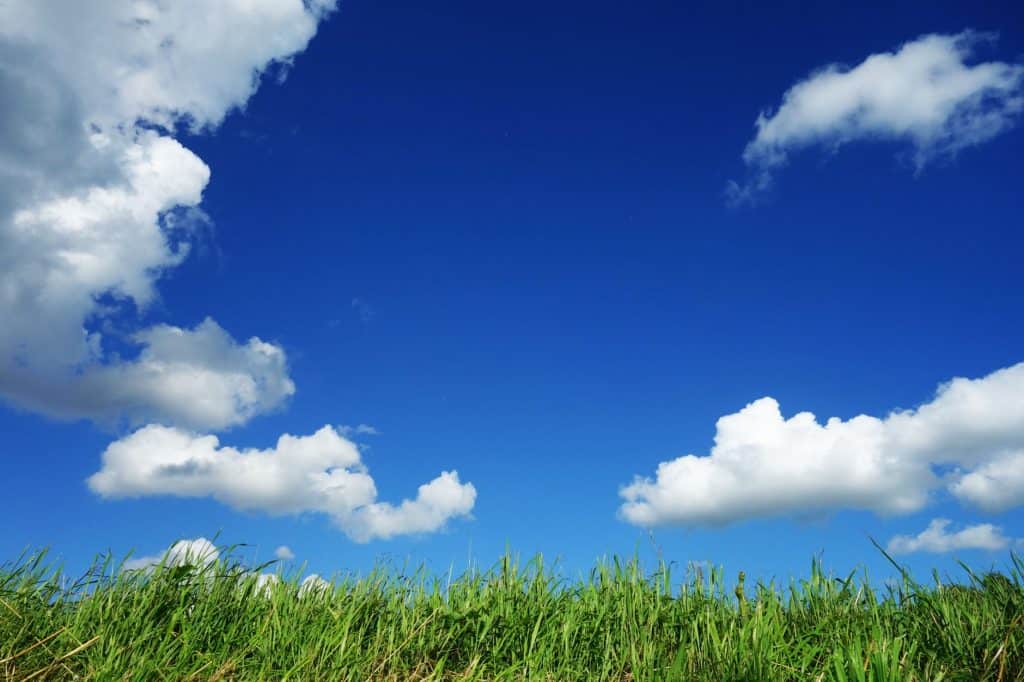 Nature Buddies: Earth Day Every Day